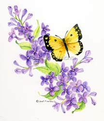 lilacs & butterfly